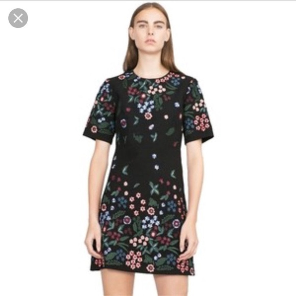 Zara Floral Embroidered Short Sleeve Mini Dress
